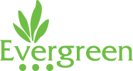 Evergreen_construction